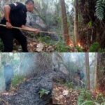 tiga-hektar-lahan-terbakar-hebat-di-padang,-tim-gabungan-berjuang-memadamkan-api
