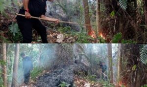 tiga-hektar-lahan-terbakar-hebat-di-padang,-tim-gabungan-berjuang-memadamkan-api