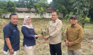 dorong-energi-baru-terbarukan,-pt-semen-padang-ajak-kwarda-sumbar-hijaukan-6-hektare-lahan-dengan-kaliandra