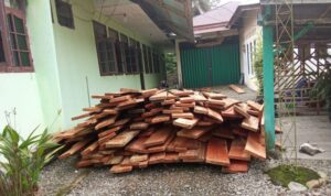 polisi-kehutanan-gencarkan-patroli-cegah-ilegal-loging-di-hutan-lindung-pasaman