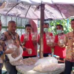 warga-binaan-rutan-lubuk-sikaping-luncurkan-kacang-randang-“dangres”,-siap-bersaing-di-pasaran