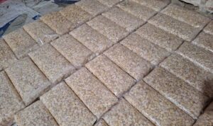 pemkab-pessel-resmi-luncurkan-bergizi-gratis