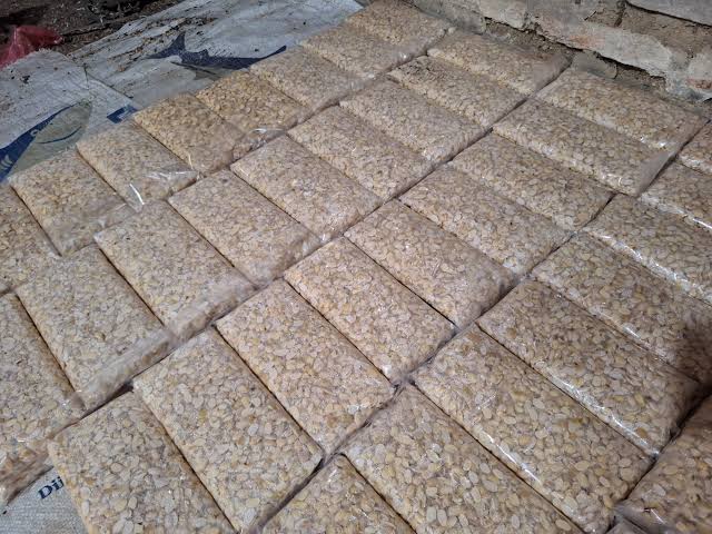 pemkab-pessel-resmi-luncurkan-bergizi-gratis