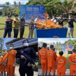 bnnp-sumbar-musnahkan-hampir-30-kilogram-ganja,-selamatkan-ribuan-generasi-muda