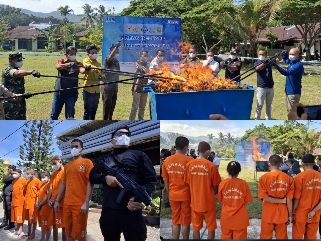 bnnp-sumbar-musnahkan-hampir-30-kilogram-ganja,-selamatkan-ribuan-generasi-muda