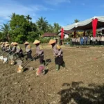 polda-sumbar-dorong-penanaman-jagung-sebagai-penyangga-ketahanan-pangan
