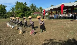 polda-sumbar-dorong-penanaman-jagung-sebagai-penyangga-ketahanan-pangan polda-sumbar-dorong-penanaman-jagung-sebagai-penyangga-ketahanan-pangan
