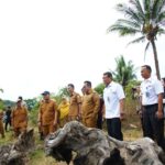 rutan-batusangkar-over-kapasitas,-pemkab-tanah-datar-siapkan-lahan-relokasi
