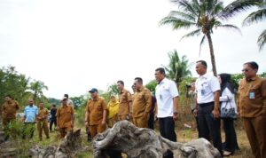 rutan-batusangkar-over-kapasitas,-pemkab-tanah-datar-siapkan-lahan-relokasi rutan-batusangkar-over-kapasitas,-pemkab-tanah-datar-siapkan-lahan-relokasi