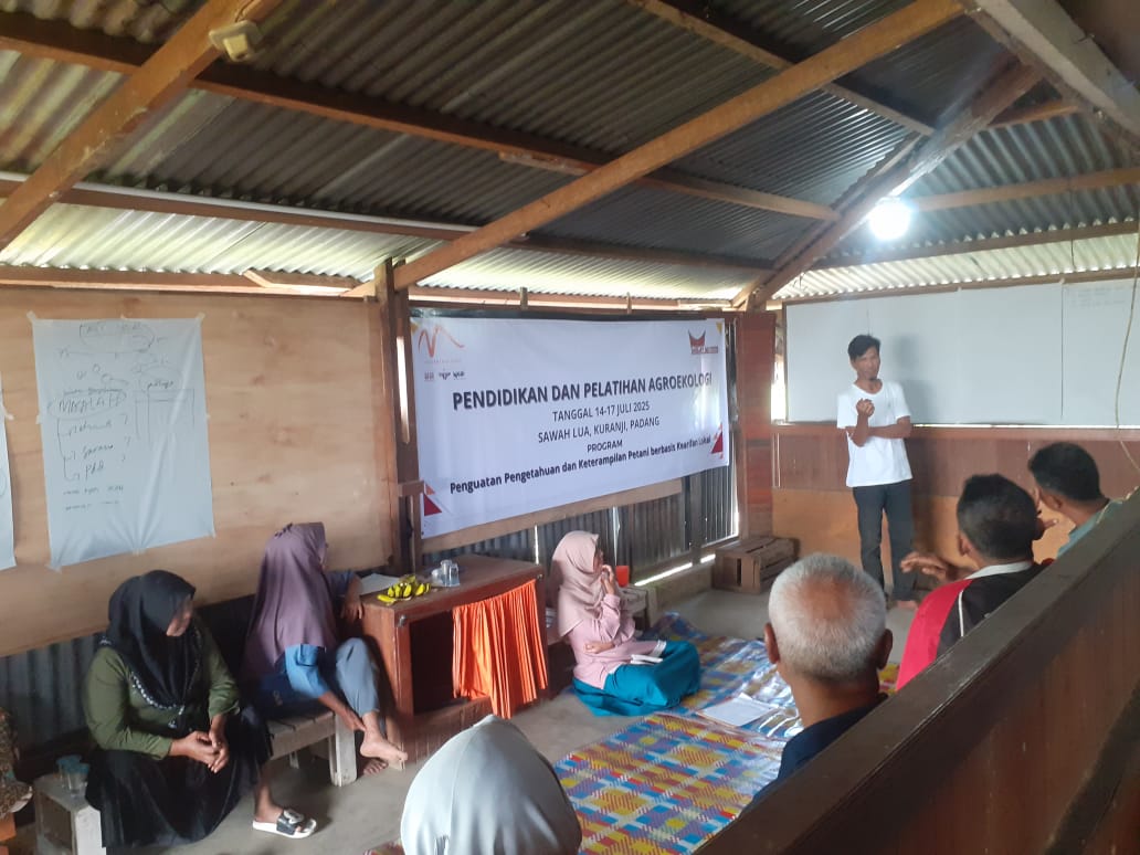 petani-padang-bangkit:-menanam-harapan-dari-pondok-agroekologi-sawah-lua