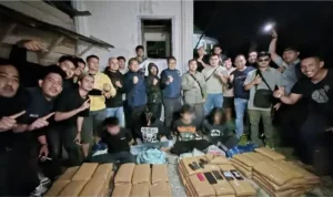 bnnp-sumbar-gagalkan-pengiriman-100-kg-ganja-dari-sumut-ke-bukittinggi