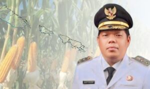gerakan-hijau-mentawai:-jagung-untuk-ketahanan-dan-kemajuan-desa