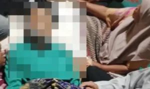 tragis!-dua-pelajar-tersengat-listrik-di-kebun-warga-pasbar,-satu-tewas-di-tempat