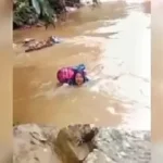 menyeberangi-derasnya-sungai-demi-pasien:-kisah-pengabdian-bidan-dona-di-pasaman