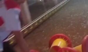 pemda-pasaman-tercoreng,-siswa-pkl-dipaksa-urus-kandang-ayam