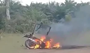pencurian-buah-sawit,-warga-pasbar-bakar-sepeda-motor-pelaku pencurian-buah-sawit,-warga-pasbar-bakar-sepeda-motor-pelaku