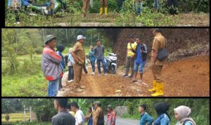 verifikasi-lapangan-kegiatan-pembangunan-nagari-tanjung:-dorong-percepatan-akses-pertanian verifikasi-lapangan-kegiatan-pembangunan-nagari-tanjung:-dorong-percepatan-akses-pertanian