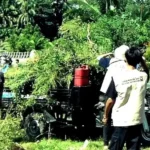 sikucur-jadi-pelaksana-peringatan-hut-ri-kecamatan-v-koto-kampung-dalam