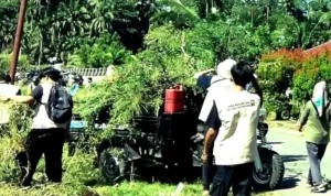 sikucur-jadi-pelaksana-peringatan-hut-ri-kecamatan-v-koto-kampung-dalam