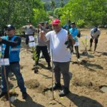 pt-semen-padang-tanam-1.000-bibit-mangrove-di-sungai-pisang,-dukung-pelestarian-pesisir-dan-ekosistem-laut