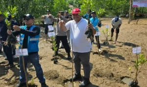 pt-semen-padang-tanam-1.000-bibit-mangrove-di-sungai-pisang,-dukung-pelestarian-pesisir-dan-ekosistem-laut pt-semen-padang-tanam-1.000-bibit-mangrove-di-sungai-pisang,-dukung-pelestarian-pesisir-dan-ekosistem-laut