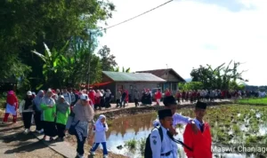 dua-ribuan-peserta-ramaikan-gerak-jalan-santai-hut-ri-di-tilatang-kamang