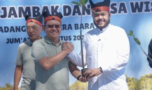 walikota-padang-fadly-amran-tanam-pohon-mangrove