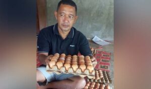 dari-honorer-jadi-juragan,-rinaldi-sikumbang-sukses-kembangkan-ayam-buras