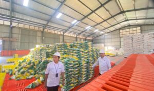 cek-gudang-bulog,-dirreskrimus-polda-sumbar-pastikan-stok-beras-tercukupi cek-gudang-bulog,-dirreskrimus-polda-sumbar-pastikan-stok-beras-tercukupi