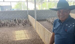 wakil-ketua-dprd-sawahlunto-jaswandi-buka-lapangan-kerja-lewat-peternakan-itik