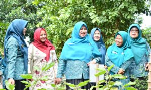 tp-pkk-kota-padang-gelar-penilaian-lomba-gerakan-pkk-tingkat-kota-padang-tahun-2025