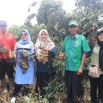 nagari-kurnia-selatan-dharmasraya-jaga-ketahanan-pangan