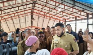 menteri-pertanian-puji-langkah-pemko-padang-kendalikan-harga-pangan