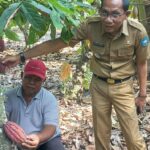 camat-talawi-bersinergi-dengan-dpk3-untuk-tingkatkan-produksi-kakao