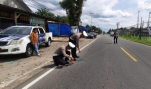 laka-lantas-kembali-terjadi-di-pasaman-barat,-satu-orang-penumpang-sepeda-motor-meninggal-dunia