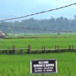 pariwisata-dan-pertanian-seharusnya-jadi-andalan-pe-sumbar-naik-siknifikan