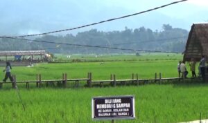 pariwisata-dan-pertanian-seharusnya-jadi-andalan-pe-sumbar-naik-siknifikan pariwisata-dan-pertanian-seharusnya-jadi-andalan-pe-sumbar-naik-siknifikan