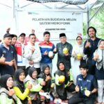 wakil-walikota-hadiri-panen-perdana-1.000-melon-golden-premium-hidroponik-di-bungtekab