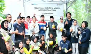 wakil-walikota-hadiri-panen-perdana-1.000-melon-golden-premium-hidroponik-di-bungtekab