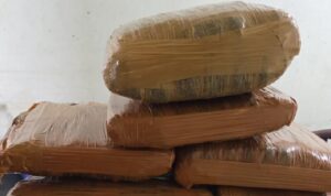 petugas-bim-gagalkan-pengiriman-paket-7-kg-diduga-ganja-ke-jakarta
