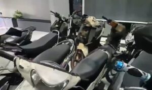 tangkap-pelaku-curanmor-di-kedai-tuak,-polres-payakumbuh-amankan-puluhan-sepeda-motor