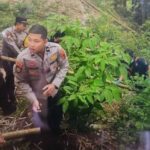 jasad-bayi-terpotong-tiga-ditemukan-di-ngarai-sianok-bukittinggi