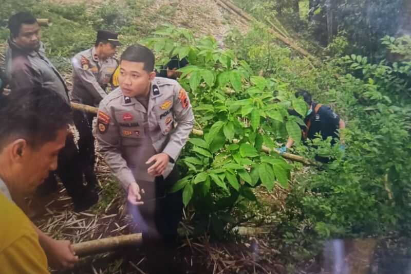 jasad-bayi-terpotong-tiga-ditemukan-di-ngarai-sianok-bukittinggi