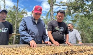 senator-irman-gusman-puji-cita-rasa-kopi-lasi,-simbol-kebangkitan-ekonomi-nagari senator-irman-gusman-puji-cita-rasa-kopi-lasi,-simbol-kebangkitan-ekonomi-nagari