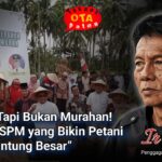 tanpa-bajak-dan-genangan,-sawah-mandiri-hasilkan-panen-ganda