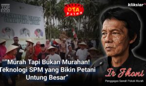 tanpa-bajak-dan-genangan,-sawah-mandiri-hasilkan-panen-ganda tanpa-bajak-dan-genangan,-sawah-mandiri-hasilkan-panen-ganda