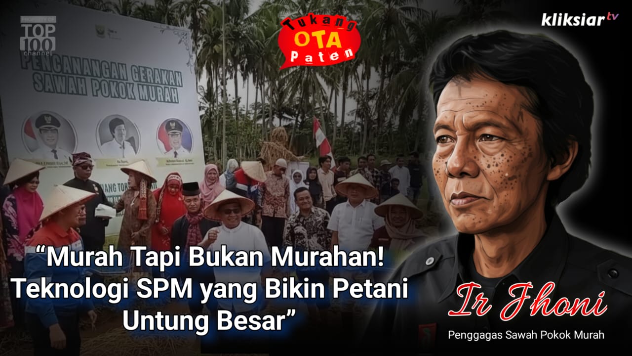 tanpa-bajak-dan-genangan,-sawah-mandiri-hasilkan-panen-ganda
