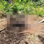 mayat-pria-ditemukan-membusuk-di-area-pt -pmj,-identitas-belum-diketahui