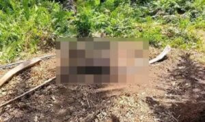 mayat-pria-ditemukan-membusuk-di-area-pt -pmj,-identitas-belum-diketahui