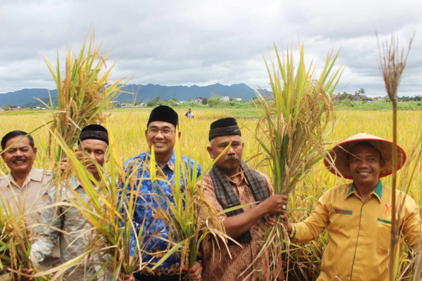 uin-bukittinggi,-ktna-dan-gempita-panen-padi-organik-di-agam,-hasil-lebih-unggul